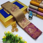 Apna Palakhi Chiku Wine Saree